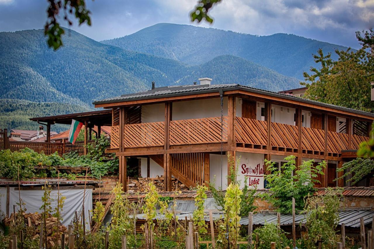 Къщи За Гости Сноуфлейк Snowflake Chalet And Snowflake Lodge Μπάνσκο Εξωτερικό φωτογραφία