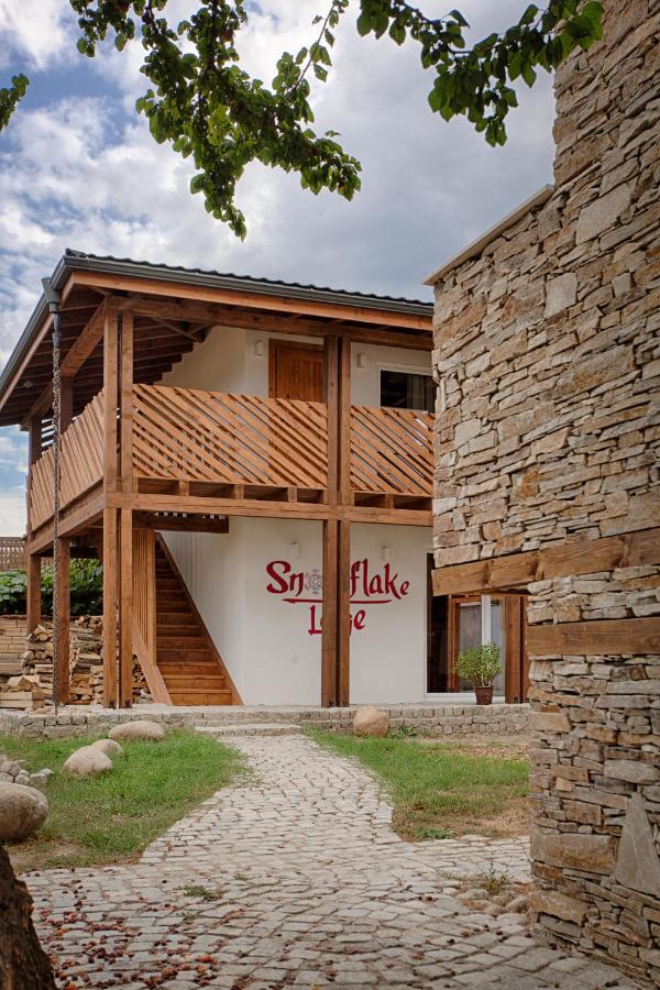 Къщи За Гости Сноуфлейк Snowflake Chalet And Snowflake Lodge Μπάνσκο Εξωτερικό φωτογραφία